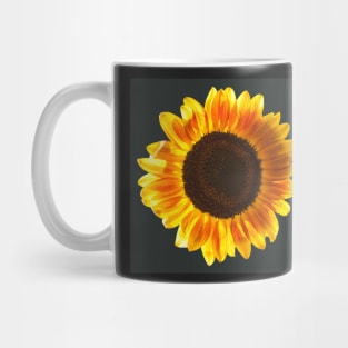 Gold and Gray Mug